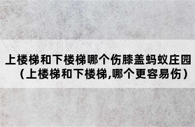 上楼梯和下楼梯哪个伤膝盖蚂蚁庄园（上楼梯和下楼梯,哪个更容易伤）