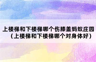 上楼梯和下楼梯哪个伤膝盖蚂蚁庄园（上楼梯和下楼梯哪个对身体好）