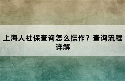 上海人社保查询怎么操作？查询流程详解