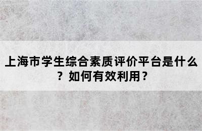 上海市学生综合素质评价平台是什么？如何有效利用？