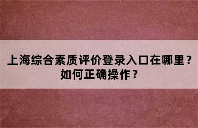 上海综合素质评价登录入口在哪里？如何正确操作？