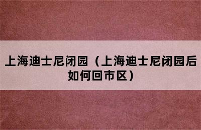 上海迪士尼闭园（上海迪士尼闭园后如何回市区）