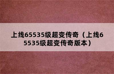 上线65535级超变传奇（上线65535级超变传奇版本）