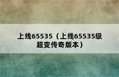 上线65535（上线65535级超变传奇版本）