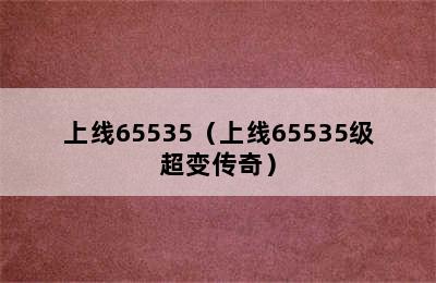 上线65535（上线65535级超变传奇）