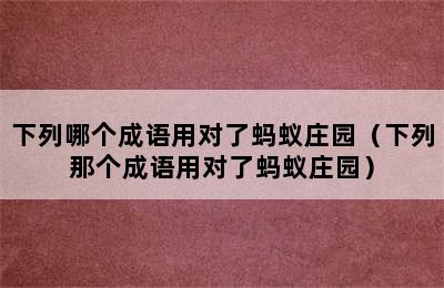 下列哪个成语用对了蚂蚁庄园（下列那个成语用对了蚂蚁庄园）