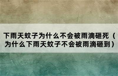 下雨天蚊子为什么不会被雨滴砸死（为什么下雨天蚊子不会被雨滴砸到）