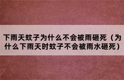 下雨天蚊子为什么不会被雨砸死（为什么下雨天时蚊子不会被雨水砸死）