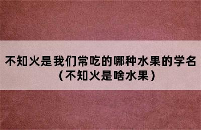 不知火是我们常吃的哪种水果的学名（不知火是啥水果）