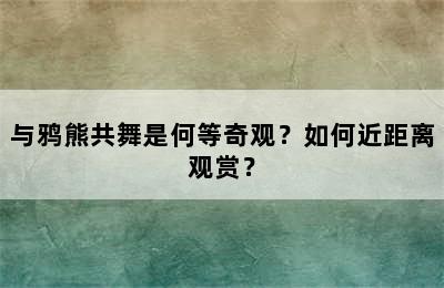 与鸦熊共舞是何等奇观？如何近距离观赏？