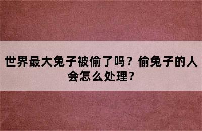 世界最大兔子被偷了吗？偷兔子的人会怎么处理？