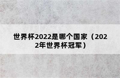 世界杯2022是哪个国家（2022年世界杯冠军）