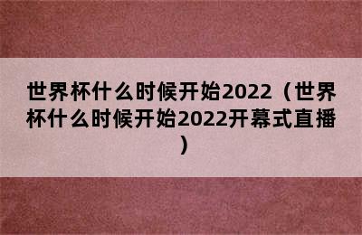 世界杯什么时候开始2022（世界杯什么时候开始2022开幕式直播）