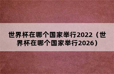 世界杯在哪个国家举行2022（世界杯在哪个国家举行2026）