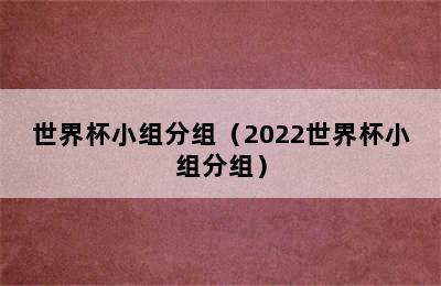 世界杯小组分组（2022世界杯小组分组）