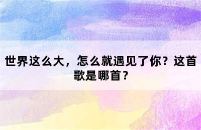 世界这么大，怎么就遇见了你？这首歌是哪首？