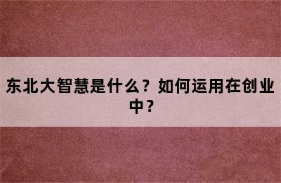 东北大智慧是什么？如何运用在创业中？