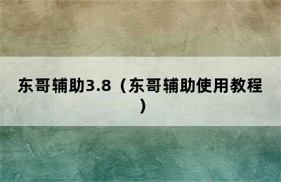 东哥辅助3.8（东哥辅助使用教程）