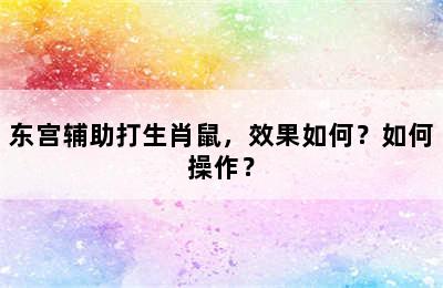 东宫辅助打生肖鼠，效果如何？如何操作？