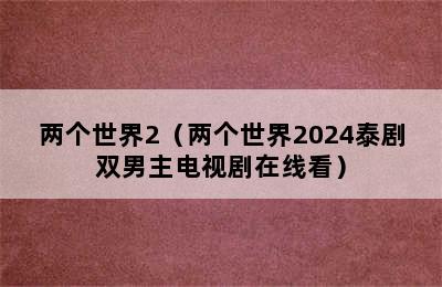 两个世界2（两个世界2024泰剧双男主电视剧在线看）