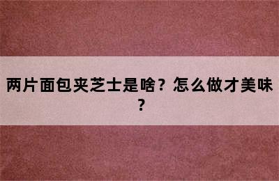 两片面包夹芝士是啥？怎么做才美味？