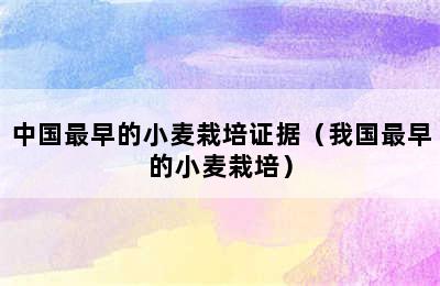 中国最早的小麦栽培证据（我国最早的小麦栽培）