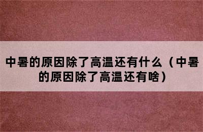 中暑的原因除了高温还有什么（中暑的原因除了高温还有啥）