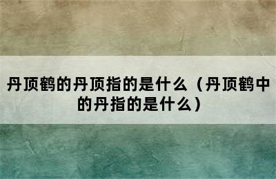 丹顶鹤的丹顶指的是什么（丹顶鹤中的丹指的是什么）