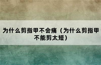 为什么剪指甲不会痛（为什么剪指甲不能剪太短）