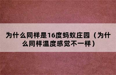 为什么同样是16度蚂蚁庄园（为什么同样温度感觉不一样）