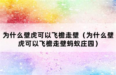 为什么壁虎可以飞檐走壁（为什么壁虎可以飞檐走壁蚂蚁庄园）