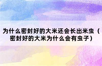 为什么密封好的大米还会长出米虫（密封好的大米为什么会有虫子）