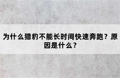 为什么猎豹不能长时间快速奔跑？原因是什么？