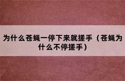 为什么苍蝇一停下来就搓手（苍蝇为什么不停搓手）