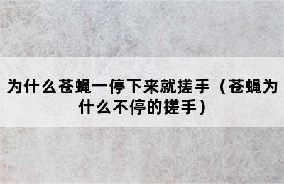 为什么苍蝇一停下来就搓手（苍蝇为什么不停的搓手）