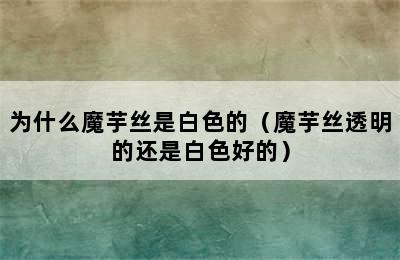 为什么魔芋丝是白色的（魔芋丝透明的还是白色好的）