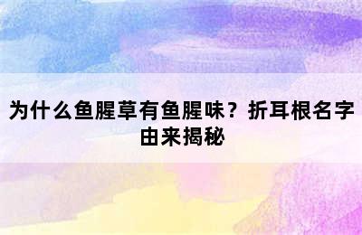 为什么鱼腥草有鱼腥味？折耳根名字由来揭秘