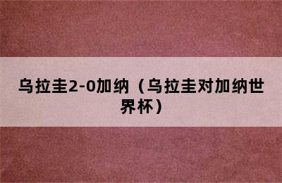 乌拉圭2-0加纳（乌拉圭对加纳世界杯）