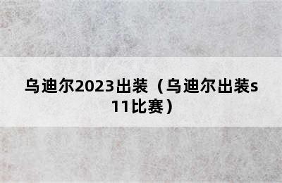 乌迪尔2023出装（乌迪尔出装s11比赛）