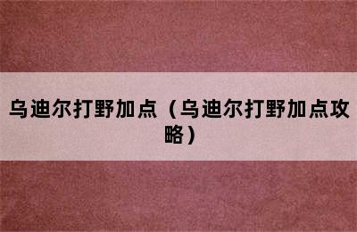 乌迪尔打野加点（乌迪尔打野加点攻略）