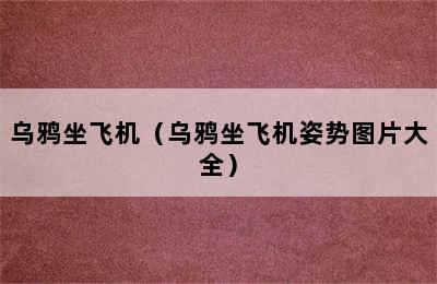 乌鸦坐飞机（乌鸦坐飞机姿势图片大全）