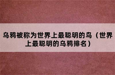 乌鸦被称为世界上最聪明的鸟（世界上最聪明的乌鸦排名）