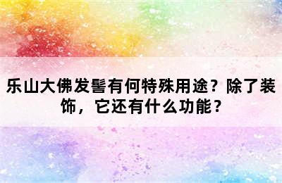 乐山大佛发髻有何特殊用途？除了装饰，它还有什么功能？