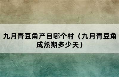 九月青豆角产自哪个村（九月青豆角成熟期多少天）