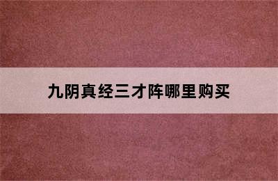 九阴真经三才阵哪里购买