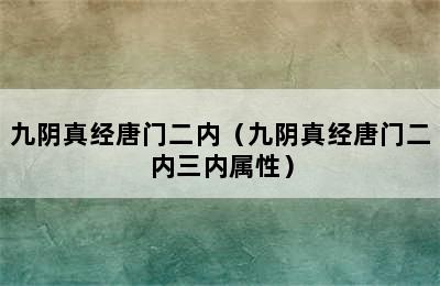 九阴真经唐门二内（九阴真经唐门二内三内属性）