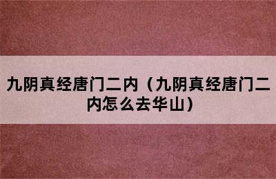 九阴真经唐门二内（九阴真经唐门二内怎么去华山）