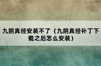 九阴真经安装不了（九阴真经补丁下载之后怎么安装）