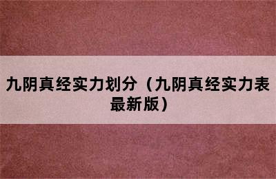 九阴真经实力划分（九阴真经实力表最新版）