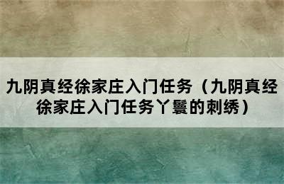 九阴真经徐家庄入门任务（九阴真经徐家庄入门任务丫鬟的刺绣）